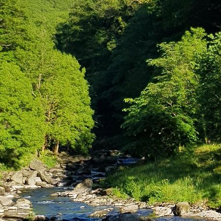 River Cottage 林茅斯 外观 照片